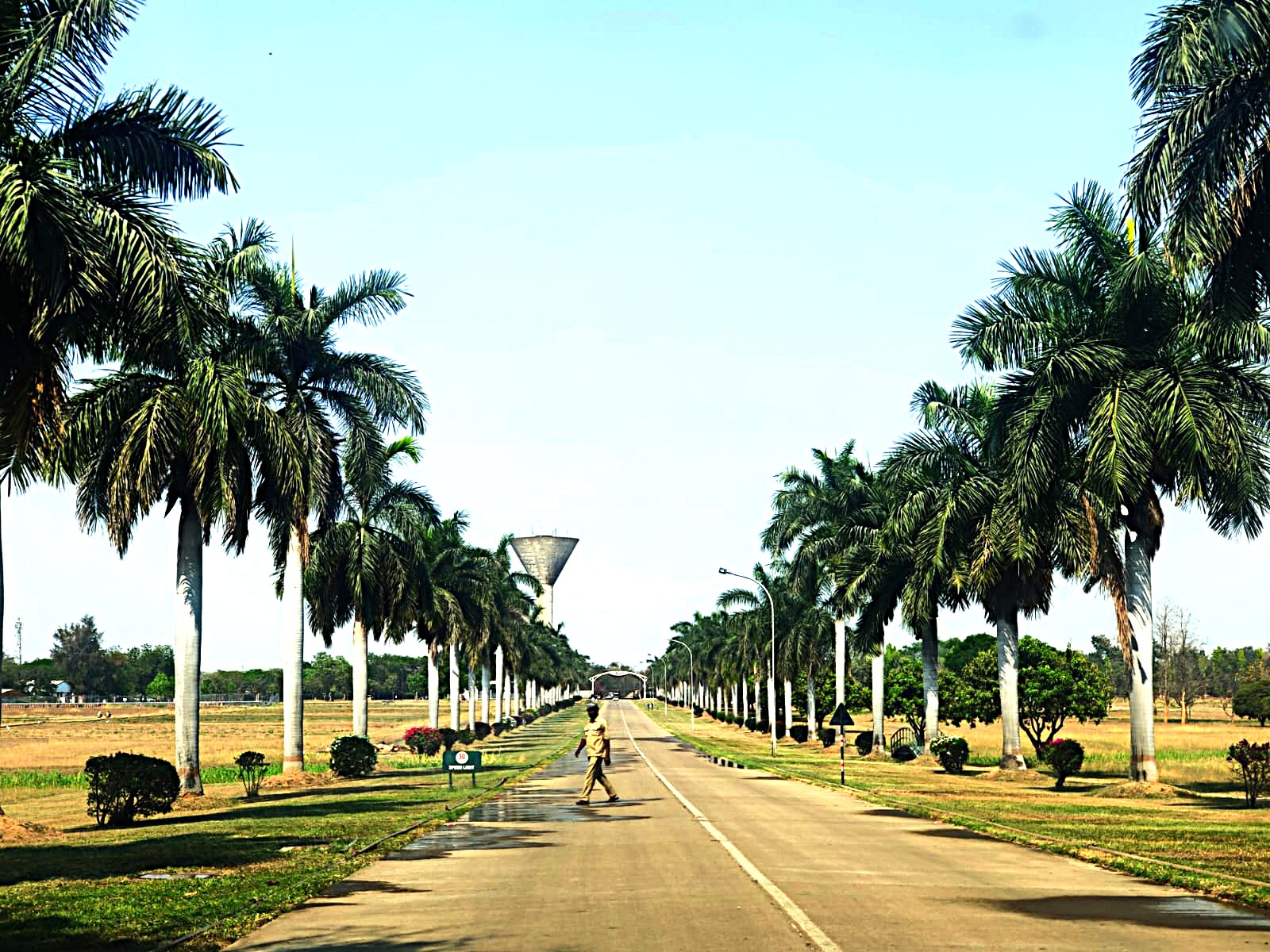 ICRISAT entrance Road.jpeg
